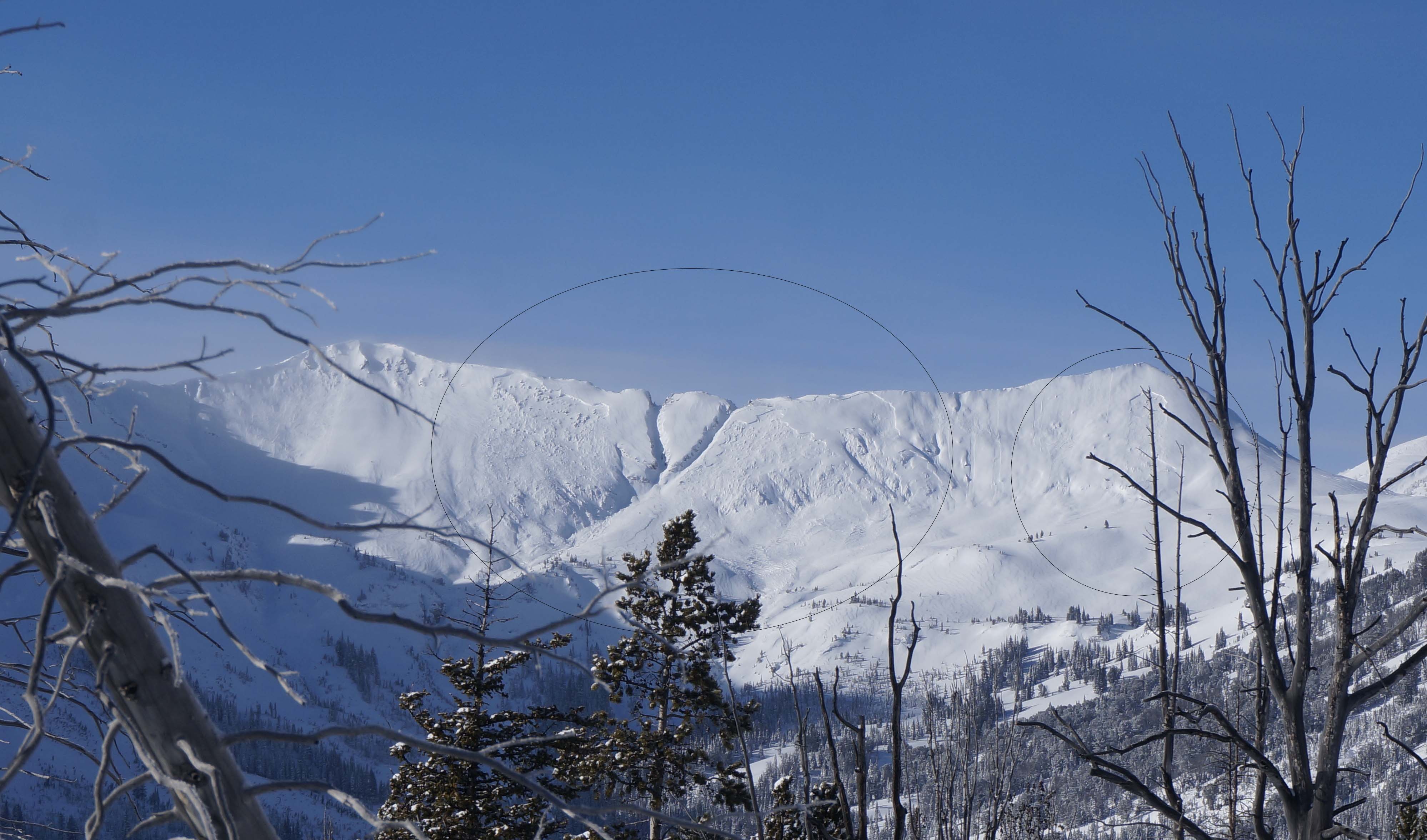 Avalanches in Sheep Cr. near Cooke 2