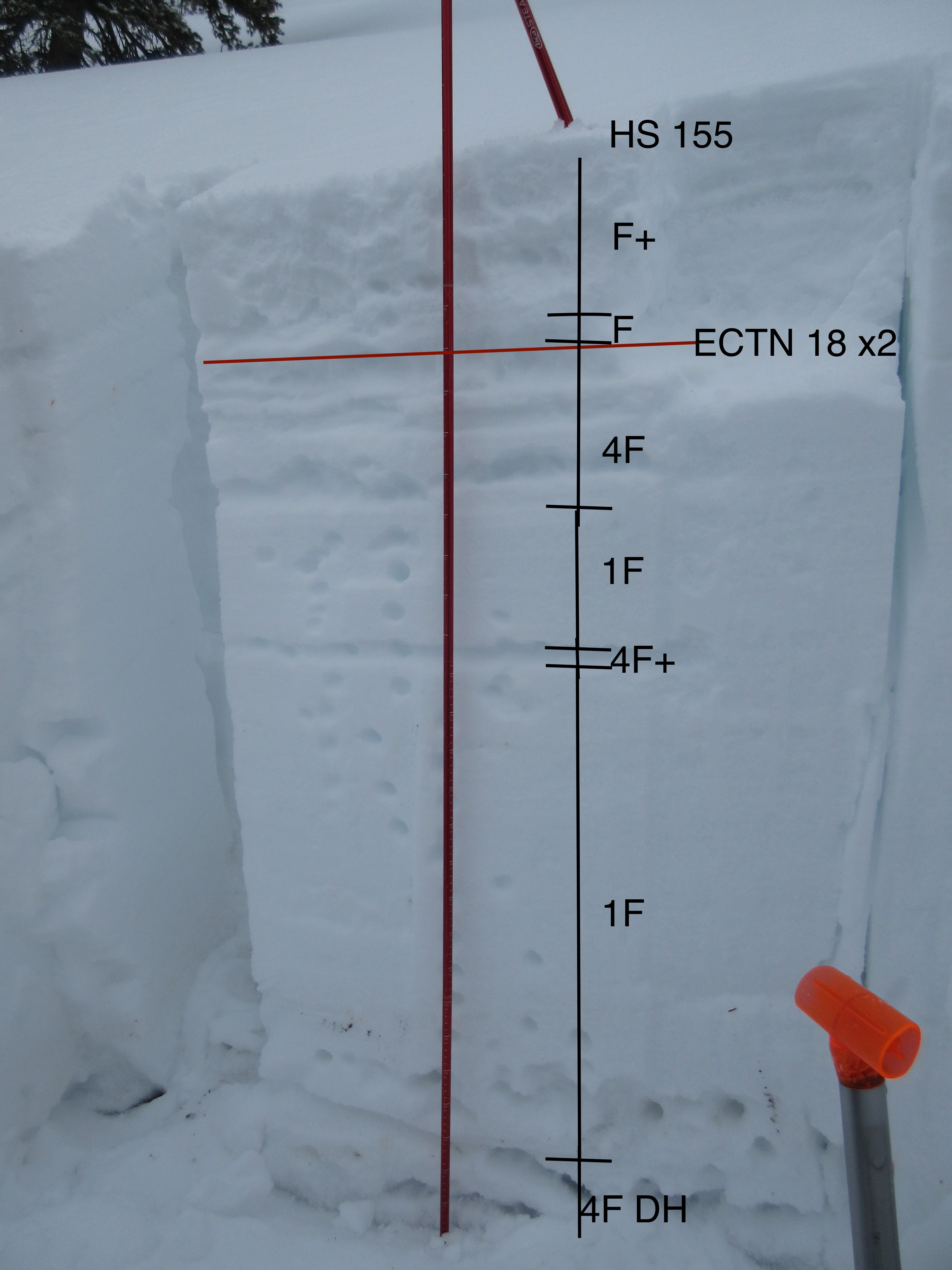 West Bridger Range Snowpit