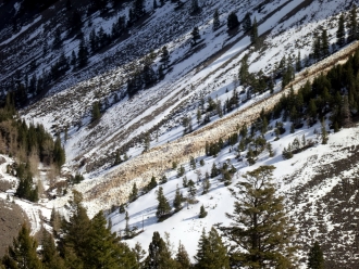 Huge wet slide debris in Emigrant Gulch 2