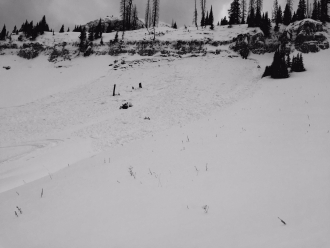 Avalanche Triggered Near Cooke City